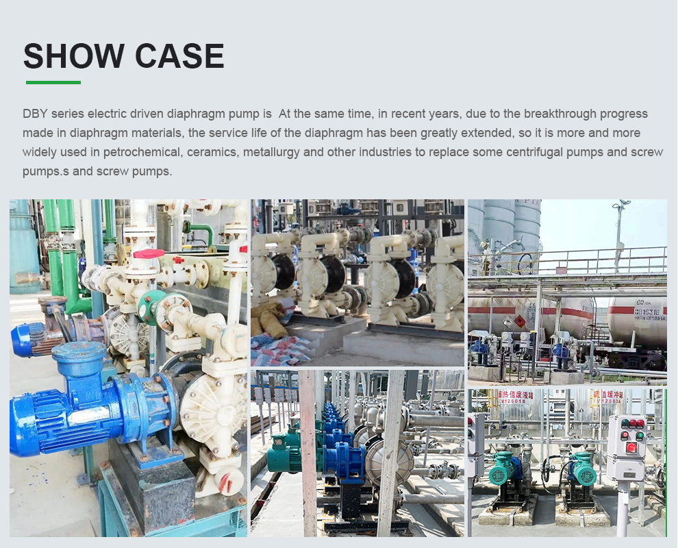 case of DBY Electric double diaphragm pump