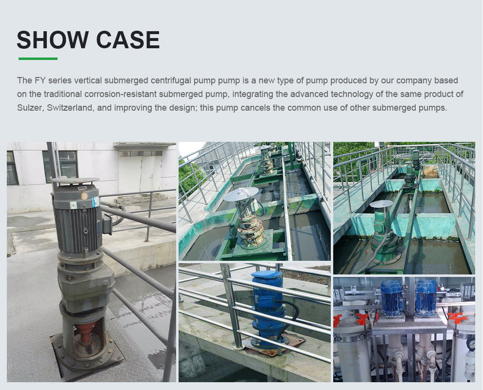 Case of FY vertical submerged centrifugal pump