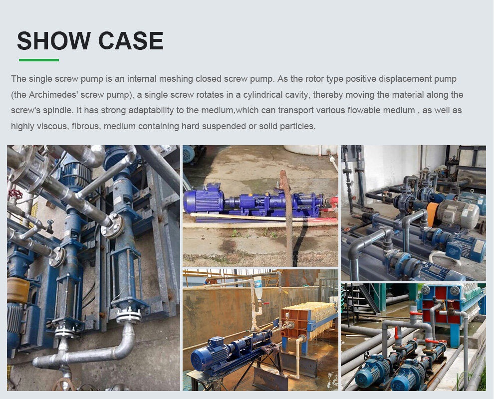 Case of G Progressive Cavity Mono Screw Pump