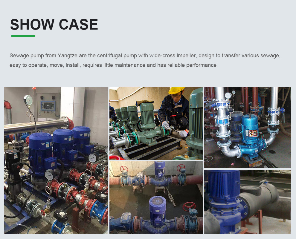 case of GW sewage dredge inline pump