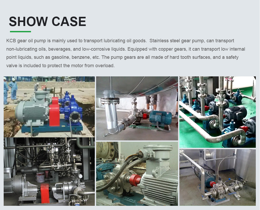 Case of NYP internal gear pump