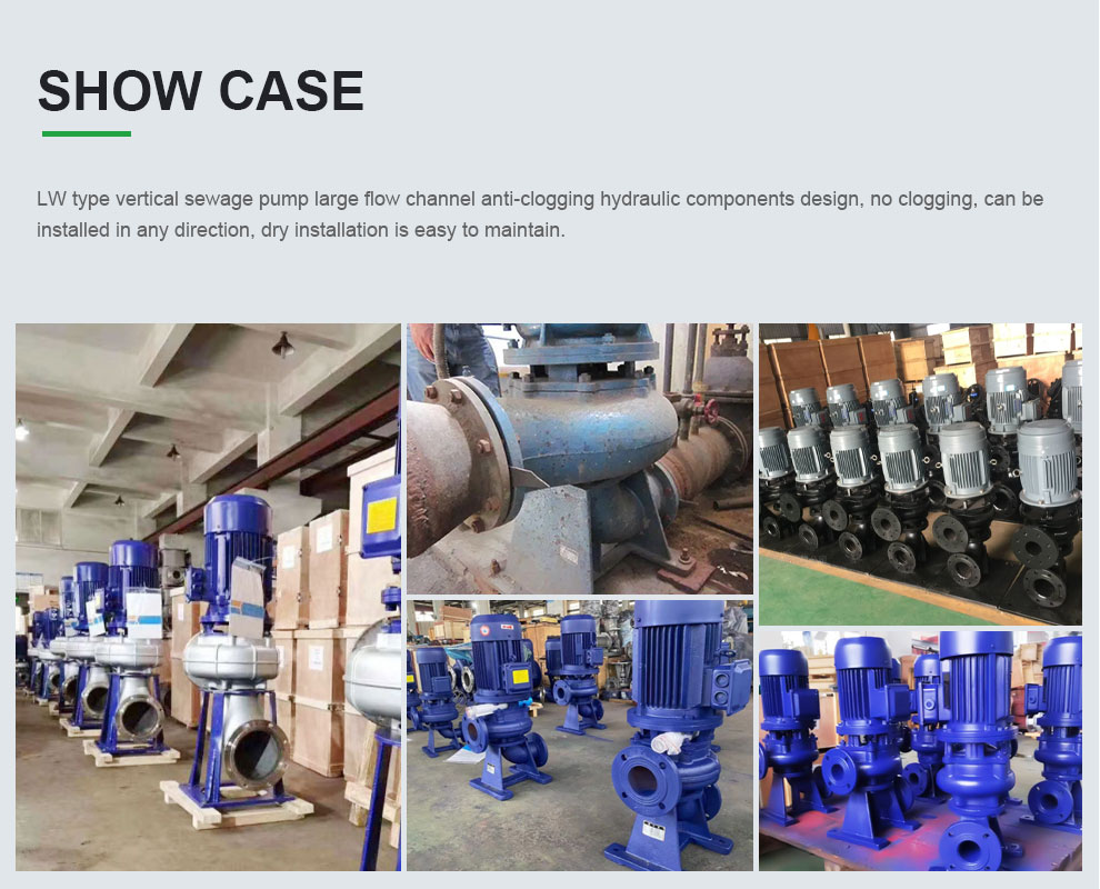 Case of LW Vertical Sewage dredge Pump