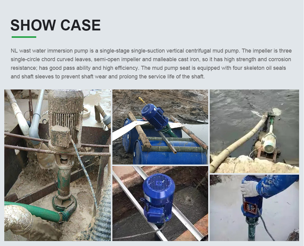 Case of NL wast water immersion pump